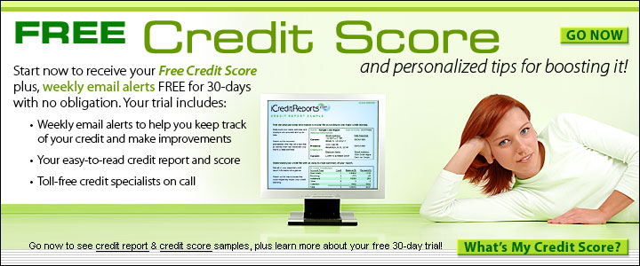 American Express Consumer Credit Ratings Service